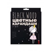 Карандаши цветные 24цв 'BlackwoodColor', упак. ассорти, к/к., Bruno Visconti