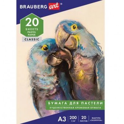 Папка для пастели А3 20л слоновая кость ГОЗНАК 200г тиснение Скорлупа, ART BRAUBERG Папка для пастели А3 20л слоновая кость ГОЗНАК 200г тиснение Скорлупа, ART BRAUBERG