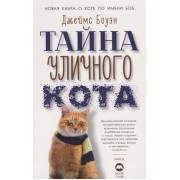 Тайна уличного кота