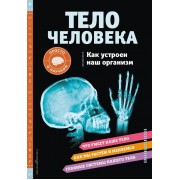 Тело человека. Как устроен наш организм