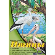 Птицы: набор карточек