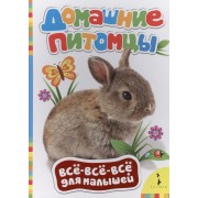 Домашние питомцы