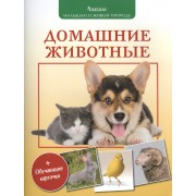 Домашние животные (+обуч.карточки и раскраски)