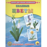 Полевые цветы