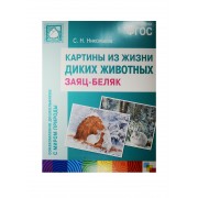 ФГОС Картины из жизни диких животных. Заяц-беляк