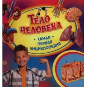 Тело человека
