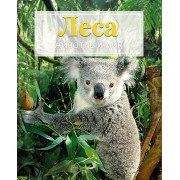 Леса. Животный мир