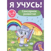 Сенсорное развитие (5-6 лет)