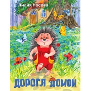 Дорога домой