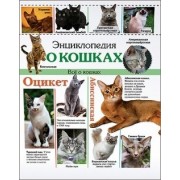 Энциклопедия о кошках Все о кошках