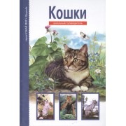 Кошки