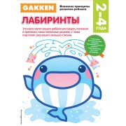 2+ Лабиринты