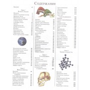 Большая иллюстрированная энциклопедия эрудита