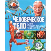 ПИЭ. Человеческое тело