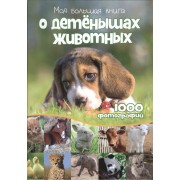 Моя большая книга о детенышах животных