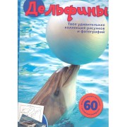 Дельфины