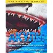 Акулы и другие обитатели подводного мира