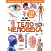 Тело человека