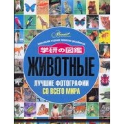 Животные. Лучшие фотографии со всего мира. Уникальное издание японских дизайнеров