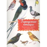 Дидактические карточки Городские птицы