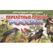 Перелетные птицы России