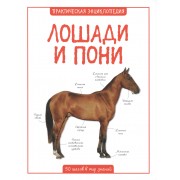 Лошади и пони