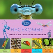 Насекомые - 2-е издание