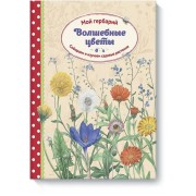 Волшебные цветы. Мой гербарий