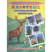 Животные и растительный мир лесной зоны