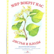 Дид.мат.Мир вокруг нас.Листья и плоды