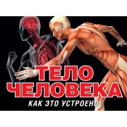 Тело человека