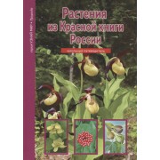 Растения из Красной книги России.