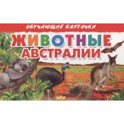 Животные Австралии