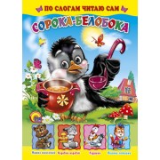 Сорока-белобока