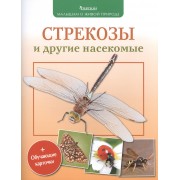 Стрекозы и другие насекомые (+обуч.карточки и раскраски)