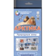 Арктика. Природные зоны. Окружающий мир: 48 карточек для обучающей игры