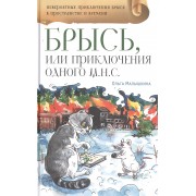 Брысь, или Приключения одного м.н.с.