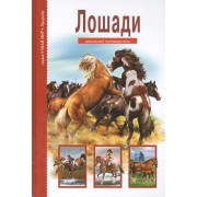 Лошади