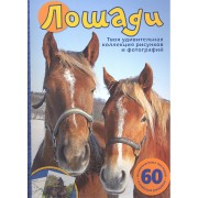 Лошади