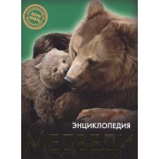 Медведи