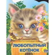 Любопытный котенок