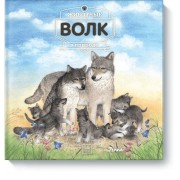 Животные в природе. Волк