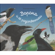 Ворона и ее родственники (илл.Н.Габеевой)