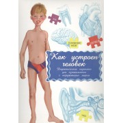 Дидактические карточки Как устроен человек