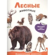 Энциклопедия животных с накл. Лесные животные