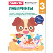 3+ Лабиринты