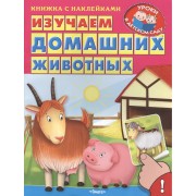 Изучаем домашних животных