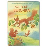 Как живет белочка. Познавательные истории