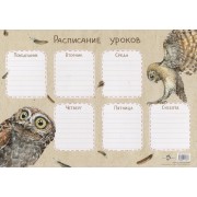 Расписание уроков «Сычик-эльф»