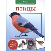 Птицы (+обуч.карточки)